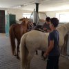 Bilder 2018 &raquo; Projekttage 2018 &raquo; Reiten
